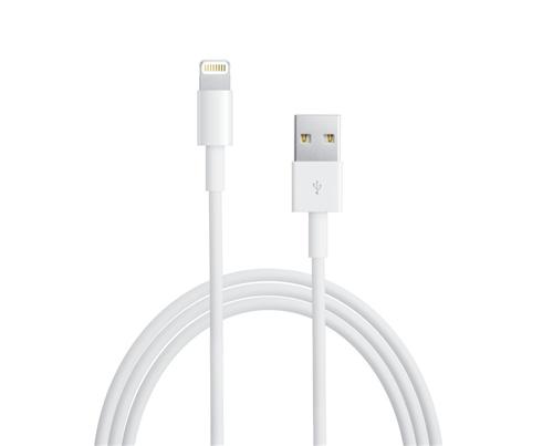 Câble Lightning Blanc Apple Chargeur iPhone 2M